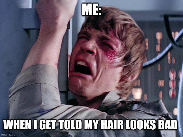 My hair doesn't look bad | ME:; WHEN I GET TOLD MY HAIR LOOKS BAD | image tagged in luke nooooo | made w/ Imgflip meme maker