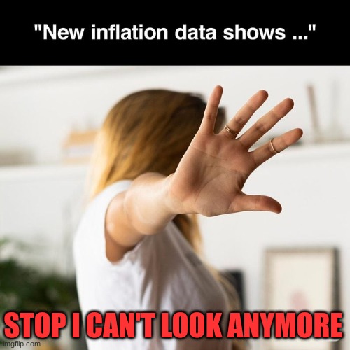 Stop | STOP I CAN'T LOOK ANYMORE | image tagged in inflation,politics | made w/ Imgflip meme maker