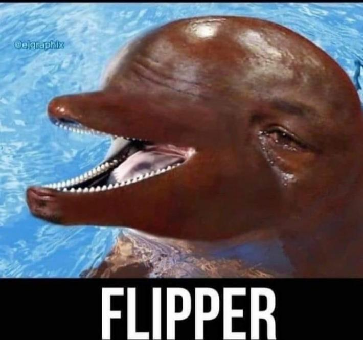 Flipper Blank Meme Template