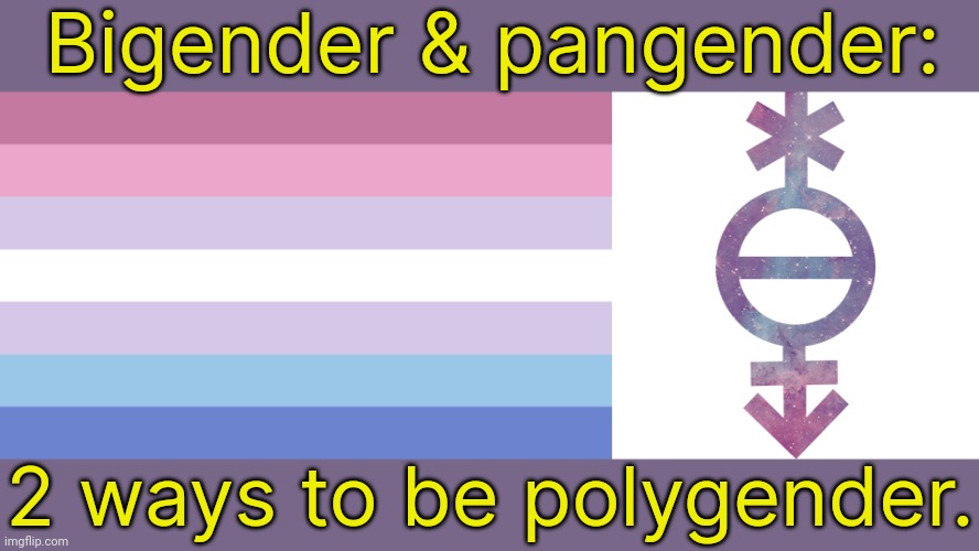 There are others. | Bigender & pangender:; 2 ways to be polygender. | image tagged in bigender full,pangender symbol,lgbt,diversity,identity | made w/ Imgflip meme maker