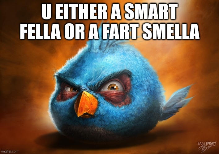 im both ? | U EITHER A SMART FELLA OR A FART SMELLA | image tagged in angry birds blue,smart fella,fart smella,i have kids in my basement,i appreciate femboys | made w/ Imgflip meme maker