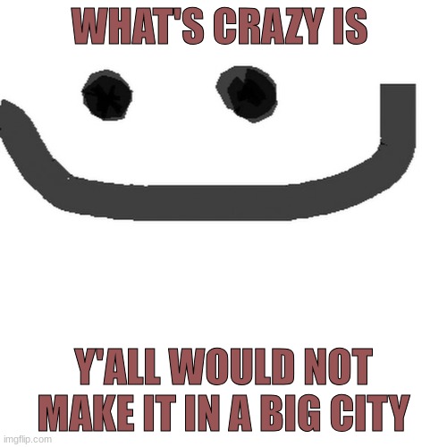 hmm.jpg | WHAT'S CRAZY IS; Y'ALL WOULD NOT MAKE IT IN A BIG CITY | image tagged in hmm jpg | made w/ Imgflip meme maker