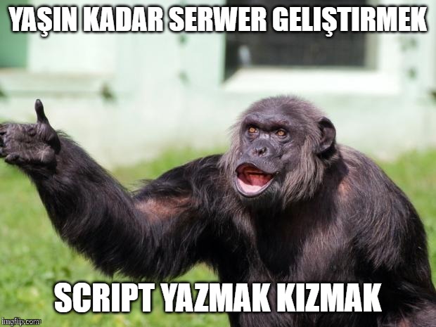 Gorilla your dreams | YAŞIN KADAR SERWER GELIŞTIRMEK; SCRIPT YAZMAK KIZMAK | image tagged in gorilla your dreams | made w/ Imgflip meme maker