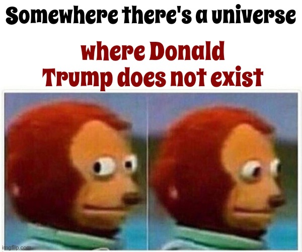 Where Is It?  That's My Next Universe | Somewhere there's a universe; where Donald Trump does not exist | image tagged in memes,monkey puppet,reincarnation,trump sucks,lock him up,trump lies | made w/ Imgflip meme maker