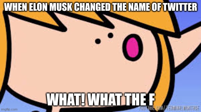 Well Excuuuuuuuuuuuuuuuu | WHEN ELON MUSK CHANGED THE NAME OF TWITTER; WHAT! WHAT THE F | image tagged in well excuuuuuuuuuuuuuuuu | made w/ Imgflip meme maker