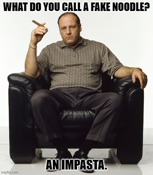 Daily Bad Dad Joke January 18, 2024 | WHAT DO YOU CALL A FAKE NOODLE? AN IMPASTA. | image tagged in tony soprano | made w/ Imgflip meme maker