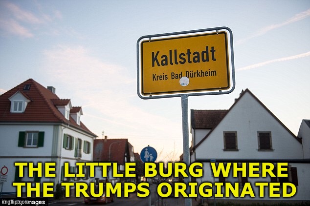 A little bit of history | THE LITTLE BURG WHERE 
THE TRUMPS ORIGINATED | image tagged in kallstadt | made w/ Imgflip meme maker