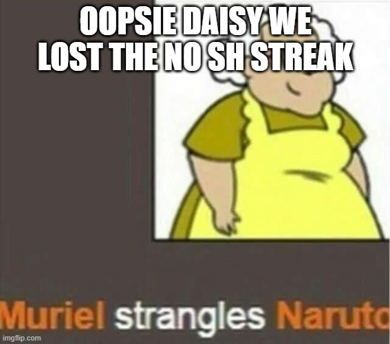 we get a little silly chat | OOPSIE DAISY WE LOST THE NO SH STREAK | made w/ Imgflip meme maker