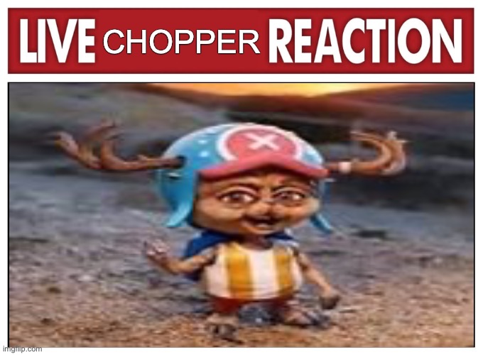Live reaction | CHOPPER | image tagged in live reaction | made w/ Imgflip meme maker
