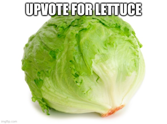 Triggering you nine year olds | UPVOTE FOR LETTUCE | image tagged in lettuce | made w/ Imgflip meme maker