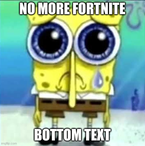 No more fortnite | NO MORE FORTNITE BOTTOM TEXT | image tagged in no more fortnite | made w/ Imgflip meme maker