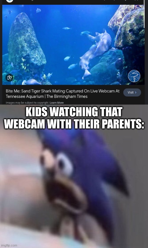 Babe, let's traumatize some hairless primates in front of this camera | KIDS WATCHING THAT WEBCAM WITH THEIR PARENTS: | image tagged in traumatised sonic | made w/ Imgflip meme maker