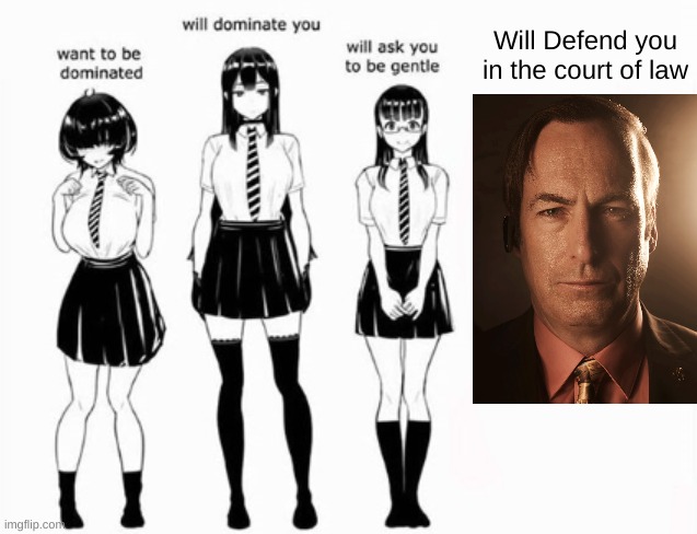 Saul Goodman Will Defend you From the Pedo allegations | Will Defend you in the court of law | image tagged in domination stats | made w/ Imgflip meme maker