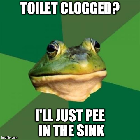 Foul Bachelor Frog Meme | TOILET CLOGGED? I'LL JUST PEE IN THE SINK | image tagged in memes,foul bachelor frog,AdviceAnimals | made w/ Imgflip meme maker
