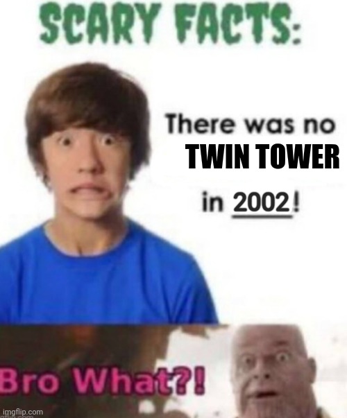 Scary facts | TWIN TOWER; 2002 | image tagged in scary facts,twin towers,911 9/11 twin towers impact | made w/ Imgflip meme maker