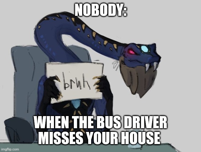 The bus driver missed my house | NOBODY:; WHEN THE BUS DRIVER MISSES YOUR HOUSE | image tagged in bruh | made w/ Imgflip meme maker