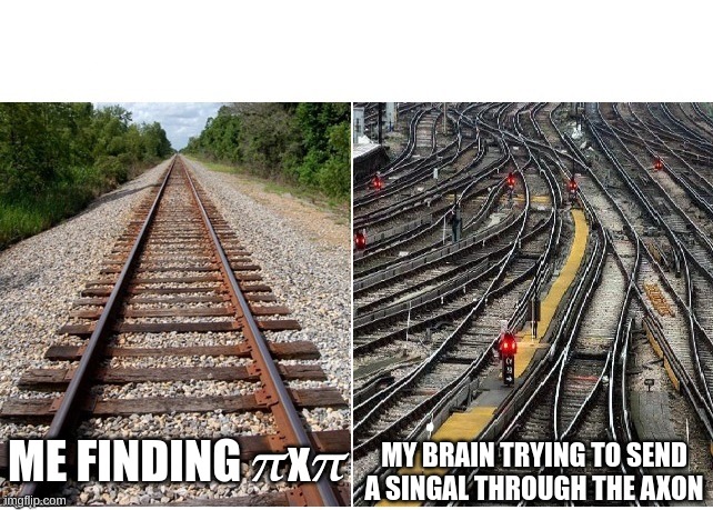 Science meme | MY BRAIN TRYING TO SEND A SINGAL THROUGH THE AXON; ME FINDING 𝝅x𝝅 | image tagged in it's not that complicated,science,brain | made w/ Imgflip meme maker