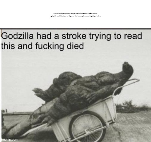 What does the text at the top say? | If you are reading the guidelines of imgflip and are under 13 years old, then don't use imgflip, right now. Wait until you are 13 years or older to use imgflip because they told you to do so. | image tagged in godzilla,memes,funny,why are you reading this | made w/ Imgflip meme maker