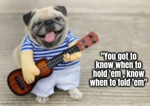 Doggo with Ukulele | "You got to know when to hold 'em , know when to fold 'em" | image tagged in doggo with ukulele | made w/ Imgflip meme maker