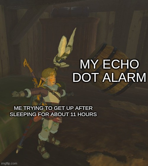 Rude Awakening | MY ECHO DOT ALARM; ME TRYING TO GET UP AFTER SLEEPING FOR ABOUT 11 HOURS | image tagged in rude awakening | made w/ Imgflip meme maker