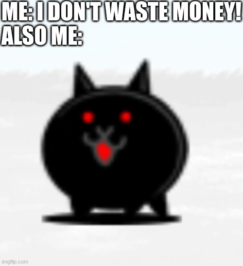 if you know you know | ME: I DON'T WASTE MONEY!
ALSO ME: | image tagged in killer cat | made w/ Imgflip meme maker