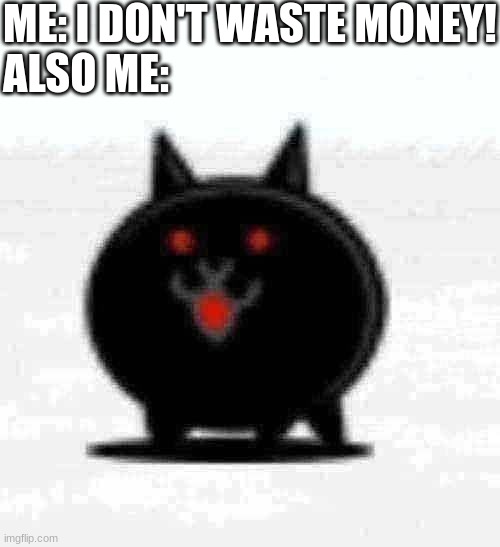i waste $$$ | ME: I DON'T WASTE MONEY!
ALSO ME: | image tagged in killer cat | made w/ Imgflip meme maker