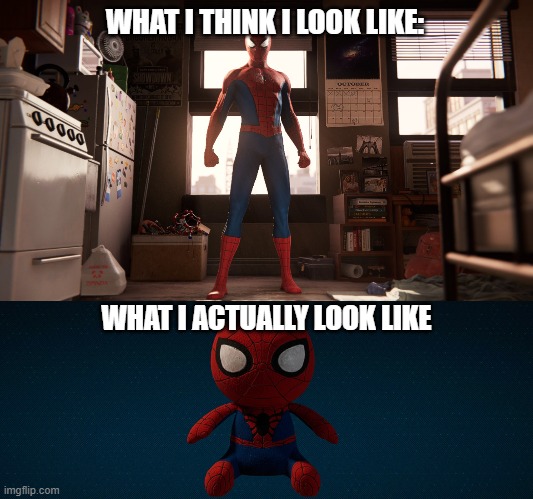 Spider-Plushie | WHAT I THINK I LOOK LIKE:; WHAT I ACTUALLY LOOK LIKE | image tagged in marvel's spider-man,spider-plushie | made w/ Imgflip meme maker