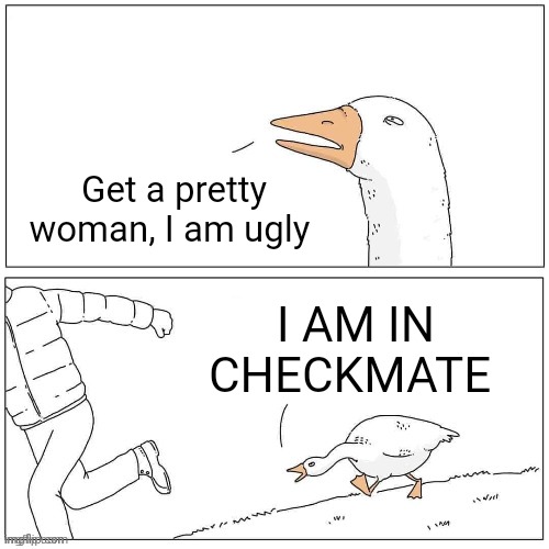 Checkmate | Get a pretty woman, I am ugly; I AM IN CHECKMATE | image tagged in goose chase | made w/ Imgflip meme maker