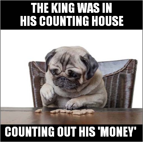 Royal Concentration ! | THE KING WAS IN HIS COUNTING HOUSE; COUNTING OUT HIS 'MONEY' | image tagged in dogs,counting,nursery rhymes | made w/ Imgflip meme maker