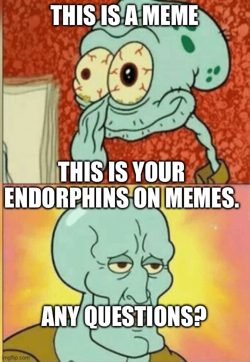 Why meme? | THIS IS A MEME; THIS IS YOUR ENDORPHINS ON MEMES. ANY QUESTIONS? | image tagged in revived squidward | made w/ Imgflip meme maker