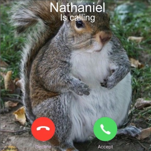 Like to answer the call | image tagged in not upvote begging,nathaniel | made w/ Imgflip meme maker