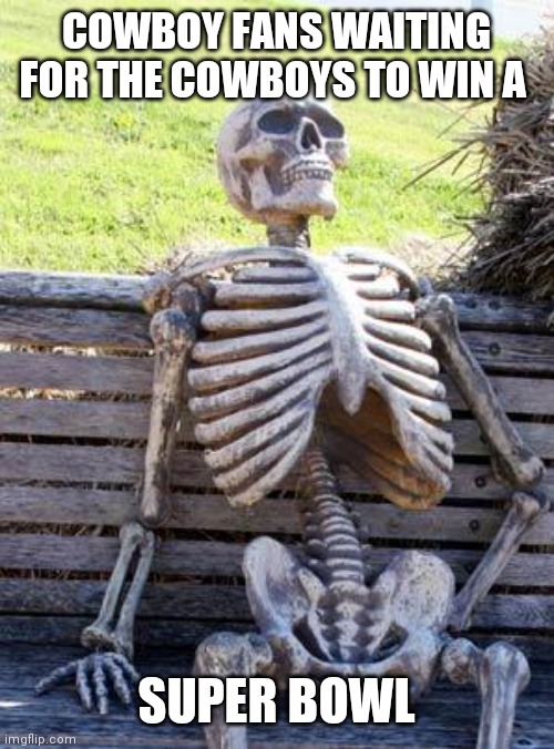 Cowboy fans waiting | COWBOY FANS WAITING FOR THE COWBOYS TO WIN A; SUPER BOWL | image tagged in memes,waiting skeleton,funny memes | made w/ Imgflip meme maker