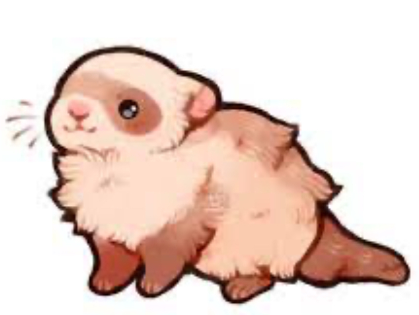 Cute fluffy ferret Blank Meme Template