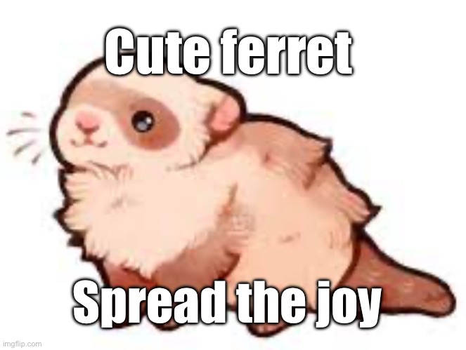 Have a nice day :) | Cute ferret; Spread the joy | image tagged in cute fluffy ferret | made w/ Imgflip meme maker