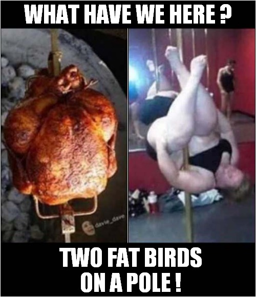 They're The Same Picture ! | WHAT HAVE WE HERE ? TWO FAT BIRDS
ON A POLE ! | image tagged in chicken,pole dancer,they're the same picture,dark humour | made w/ Imgflip meme maker