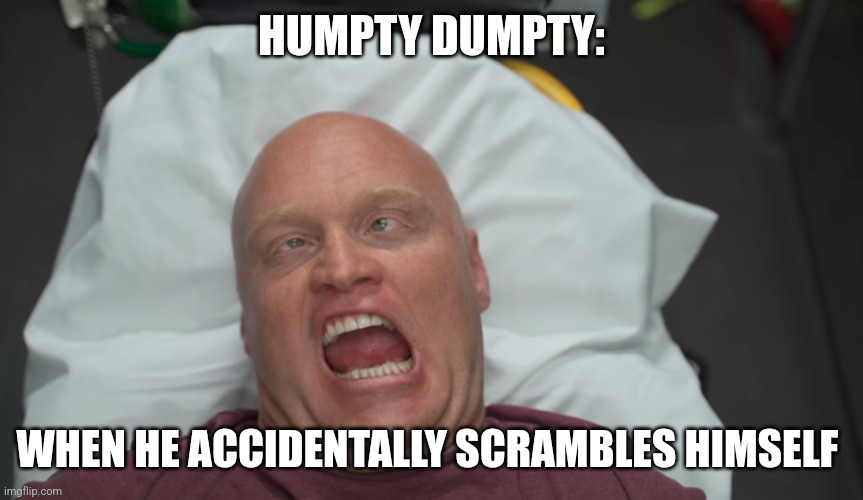 Humpty Dumpty scrambled himself | HUMPTY DUMPTY:; WHEN HE ACCIDENTALLY SCRAMBLES HIMSELF | image tagged in crazy faced bald guy | made w/ Imgflip meme maker