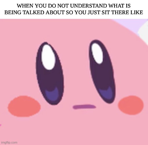 Blank Kirby Face | WHEN YOU DO NOT UNDERSTAND WHAT IS BEING TALKED ABOUT SO YOU JUST SIT THERE LIKE | image tagged in blank kirby face,school,social,adhd,funny memes | made w/ Imgflip meme maker