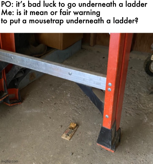 ye have been warned… | PO: it’s bad luck to go underneath a ladder
Me: is it mean or fair warning to put a mousetrap underneath a ladder? | image tagged in funny,mousetrap,meme,bad luck | made w/ Imgflip meme maker