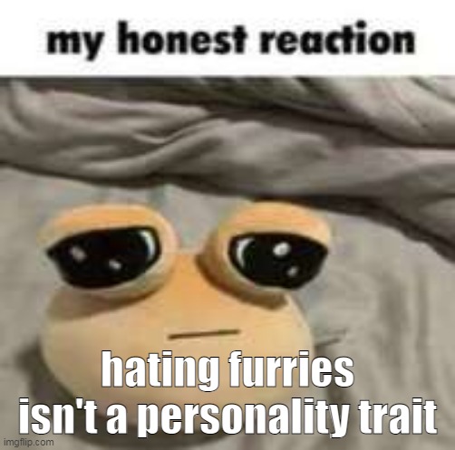 my honest reaction | hating furries isn't a personality trait | image tagged in my honest reaction | made w/ Imgflip meme maker