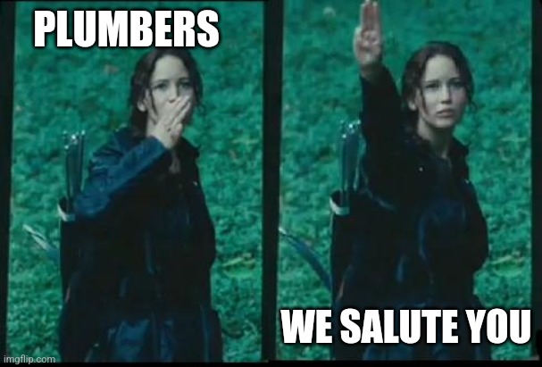 We salute plumbers | PLUMBERS; WE SALUTE YOU | image tagged in katniss respect | made w/ Imgflip meme maker