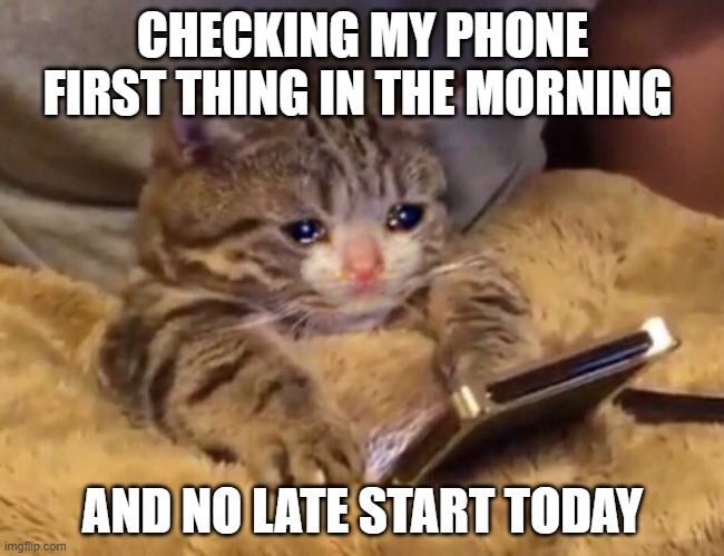 late start | CHECKING MY PHONE FIRST THING IN THE MORNING; AND NO LATE START TODAY | image tagged in sad cat phone | made w/ Imgflip meme maker