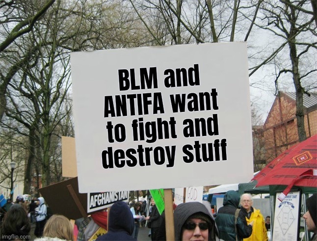 Blank protest sign | BLM and ANTIFA want to fight and destroy stuff | image tagged in blank protest sign | made w/ Imgflip meme maker