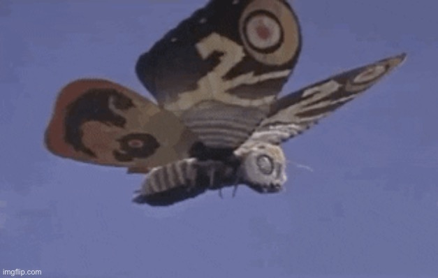 mothra | image tagged in mothra | made w/ Imgflip meme maker