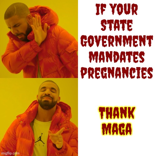 Conservative Hypocrisy | If your State Government mandates pregnancies; Thank Maga | image tagged in memes,drake hotline bling,conservative hypocrisy,scumbag maga,scumbag republicans,scumbag trump | made w/ Imgflip meme maker