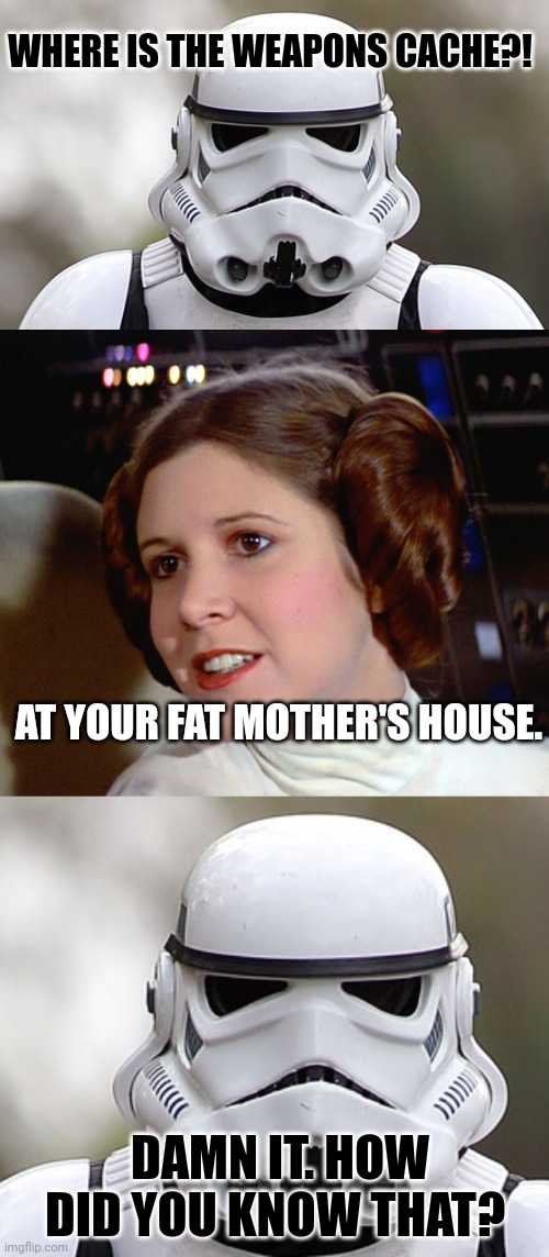 WHERE IS THE WEAPONS CACHE?! AT YOUR FAT MOTHER'S HOUSE. DAMN IT. HOW DID YOU KNOW THAT? | image tagged in storm trooper,princess leia too easy | made w/ Imgflip meme maker