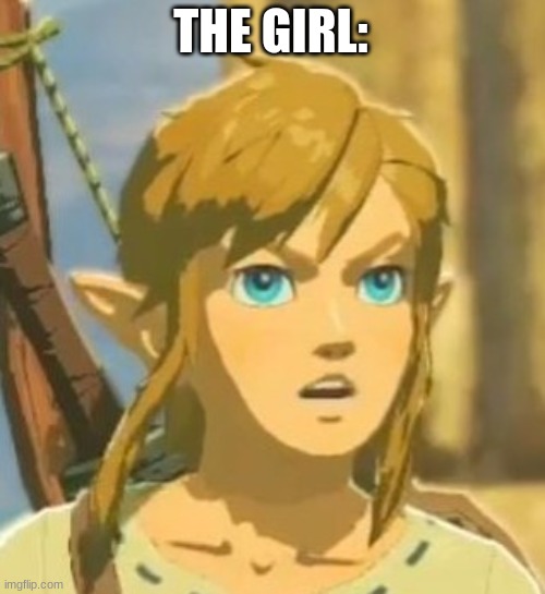 Offended Link | THE GIRL: | image tagged in offended link | made w/ Imgflip meme maker