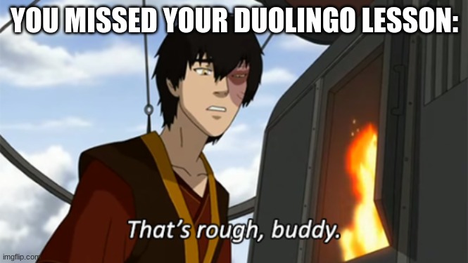 zuko thats rough buddy | YOU MISSED YOUR DUOLINGO LESSON: | image tagged in zuko thats rough buddy | made w/ Imgflip meme maker