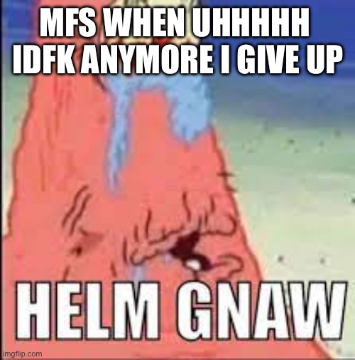HELM GNAW | MFS WHEN UHHHHH 
IDFK ANYMORE I GIVE UP | image tagged in helm gnaw | made w/ Imgflip meme maker