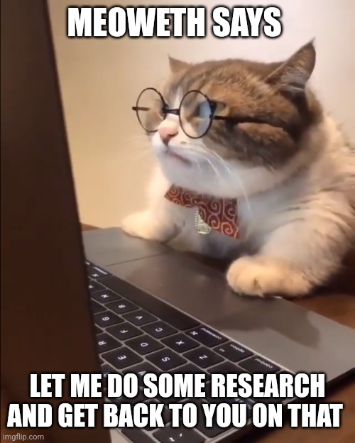 research cat | MEOWETH SAYS LET ME DO SOME RESEARCH AND GET BACK TO YOU ON THAT | image tagged in research cat | made w/ Imgflip meme maker