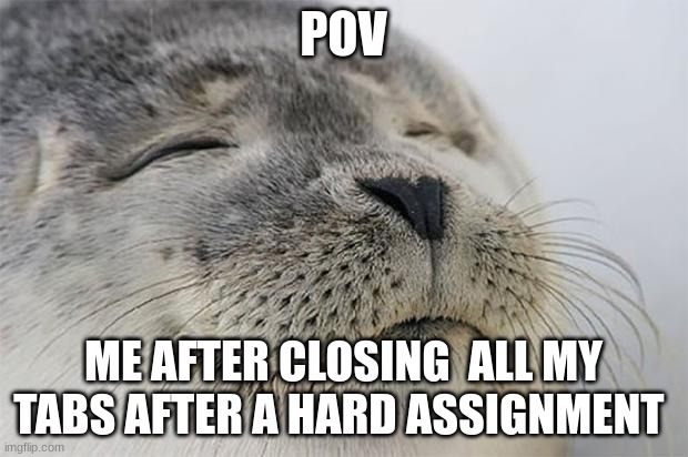 Satisfied Seal Meme | POV; ME AFTER CLOSING  ALL MY TABS AFTER A HARD ASSIGNMENT | image tagged in memes,satisfied seal | made w/ Imgflip meme maker
